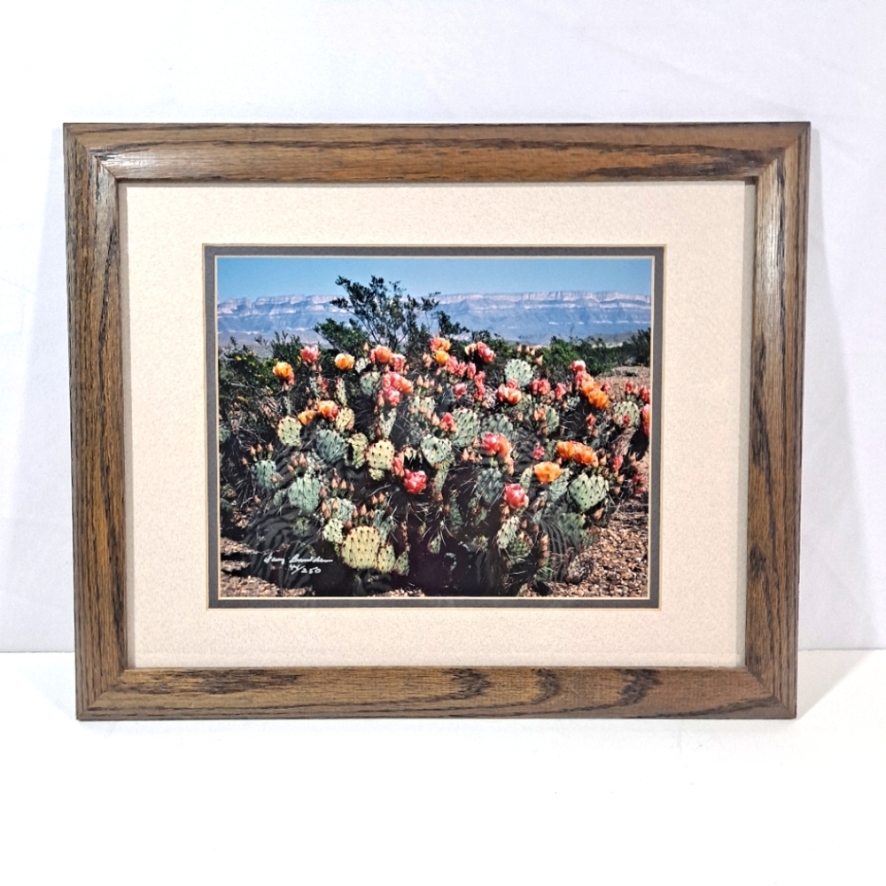 Harry Bowden "Boquillas Spring" Framed & Matted Photo Signed Limited Edition